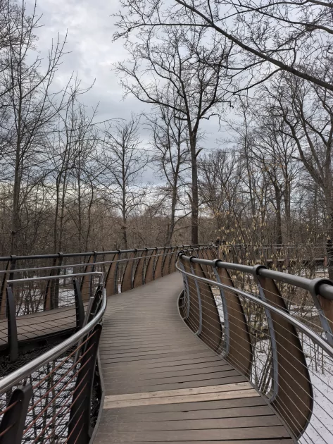 Молодежный предфлагман: обзор HUAWEI nova 15 Pro. Стоит ли он своих денег? — Качество снимков. 5