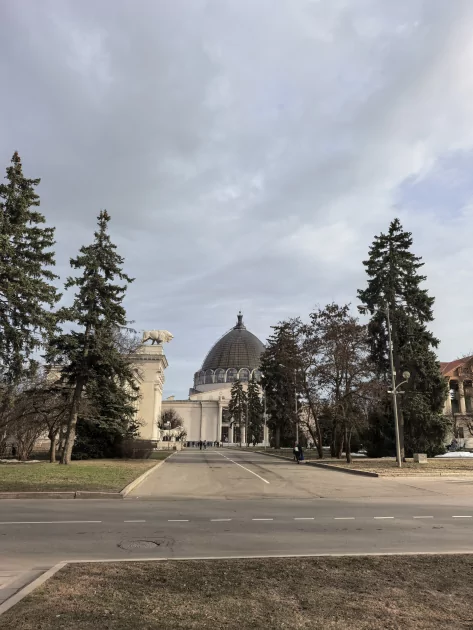 Молодежный предфлагман: обзор HUAWEI nova 15 Pro. Стоит ли он своих денег? — Качество снимков. 7