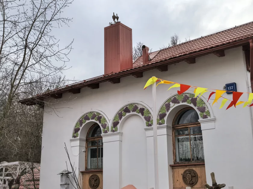 Молодежный предфлагман: обзор HUAWEI nova 15 Pro. Стоит ли он своих денег? — Качество снимков. 39