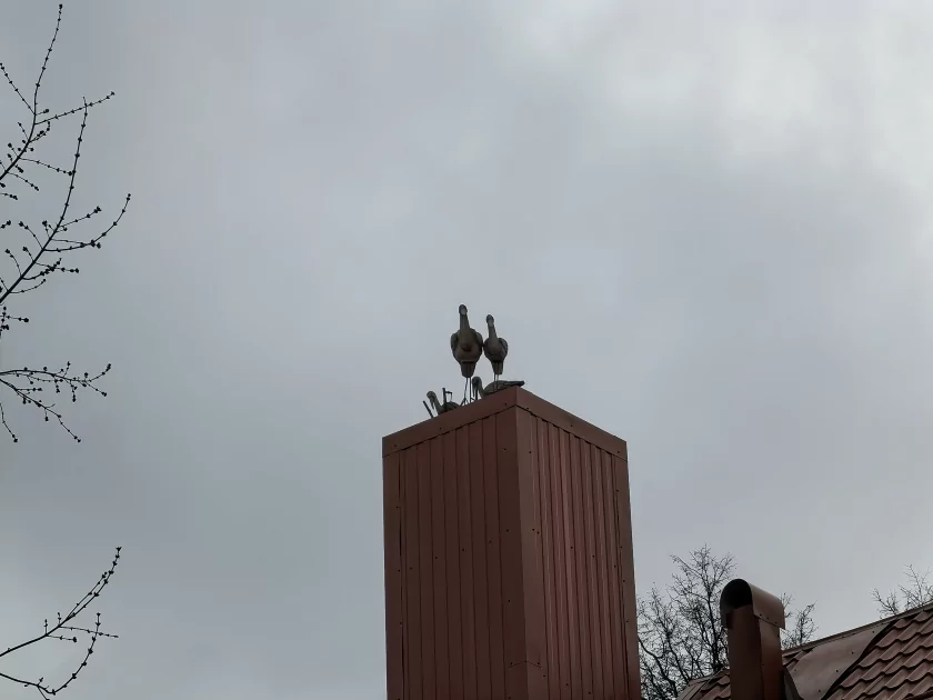 Молодежный предфлагман: обзор HUAWEI nova 15 Pro. Стоит ли он своих денег? — Качество снимков. 41