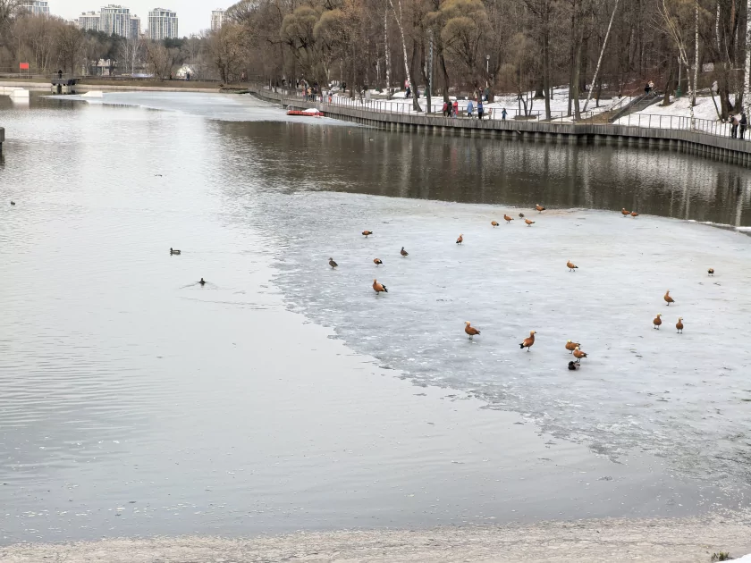 Молодежный предфлагман: обзор HUAWEI nova 15 Pro. Стоит ли он своих денег? — Качество снимков. 42