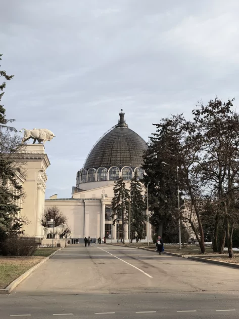 Молодежный предфлагман: обзор HUAWEI nova 15 Pro. Стоит ли он своих денег? — Качество снимков. 45