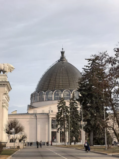 Молодежный предфлагман: обзор HUAWEI nova 15 Pro. Стоит ли он своих денег? — Качество снимков. 46