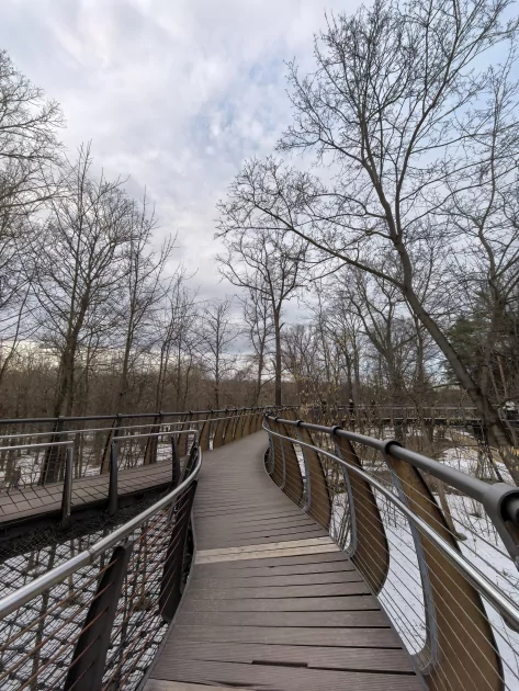 Молодежный предфлагман: обзор HUAWEI nova 15 Pro. Стоит ли он своих денег? — Качество снимков. 60