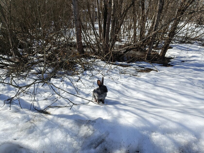 Искал подвох, но не нашел: обзор TECNO CAMON 50 — Камеры. 9