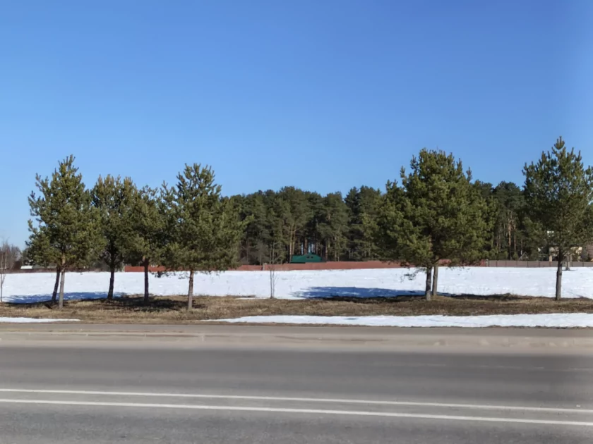 Искал подвох, но не нашел: обзор TECNO CAMON 50 — Камеры. 11