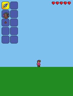 Terraria Calamity. Скриншот 1