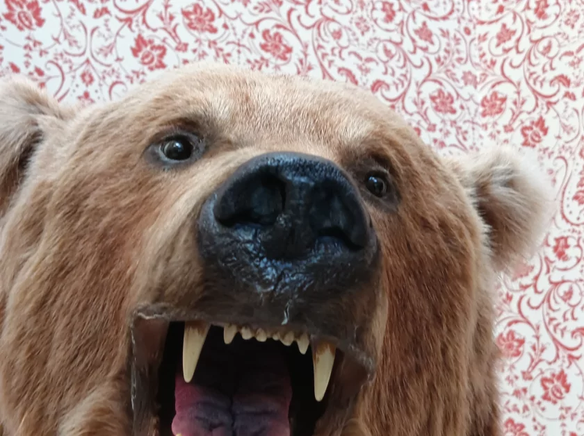 Стильный, тонкий, лёгкий и с металлической рамкой: обзор HONOR 600 Lite