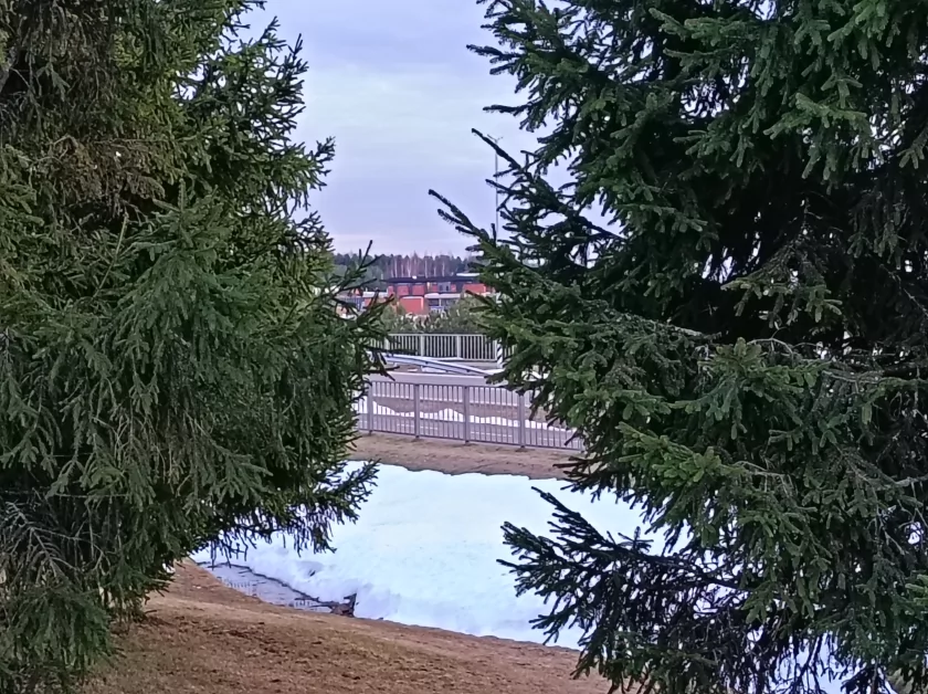 Стильный, тонкий, лёгкий и с металлической рамкой: обзор HONOR 600 Lite