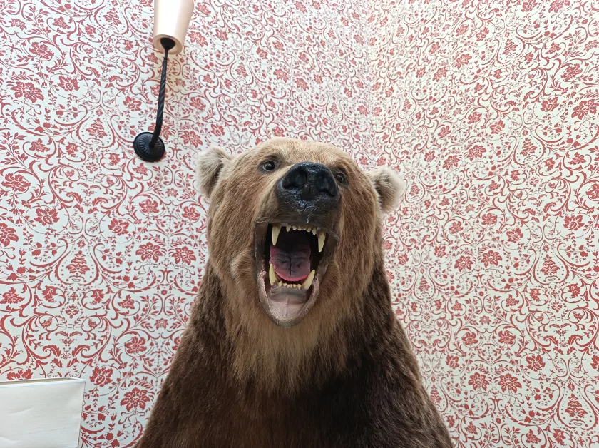 Стильный, тонкий, лёгкий и с металлической рамкой: обзор HONOR 600 Lite