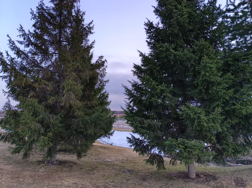 Стильный, тонкий, лёгкий и с металлической рамкой: обзор HONOR 600 Lite