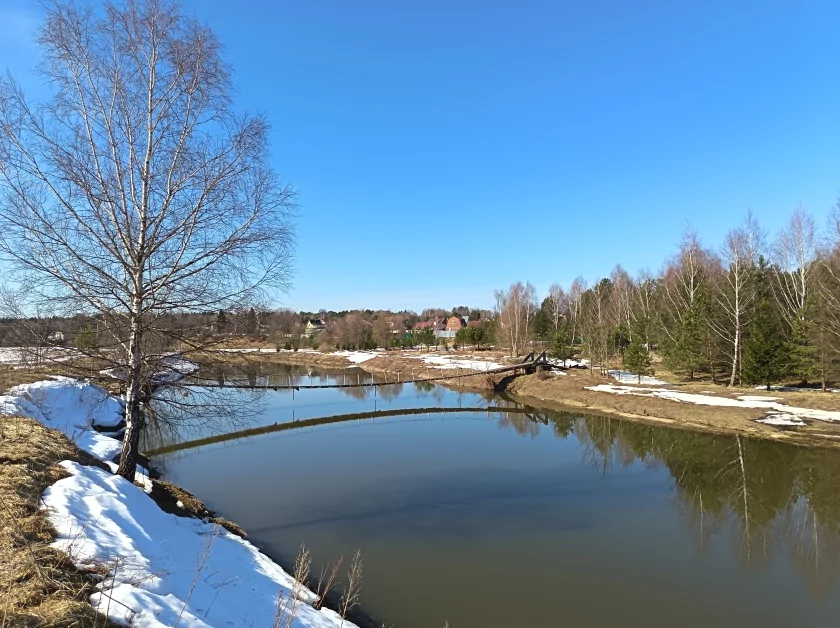 Стильный, тонкий, лёгкий и с металлической рамкой: обзор HONOR 600 Lite