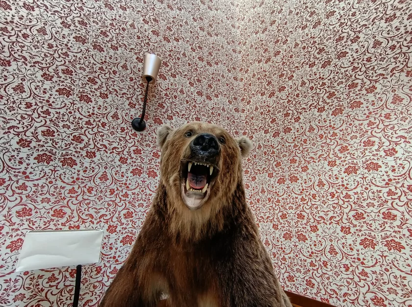 Стильный, тонкий, лёгкий и с металлической рамкой: обзор HONOR 600 Lite