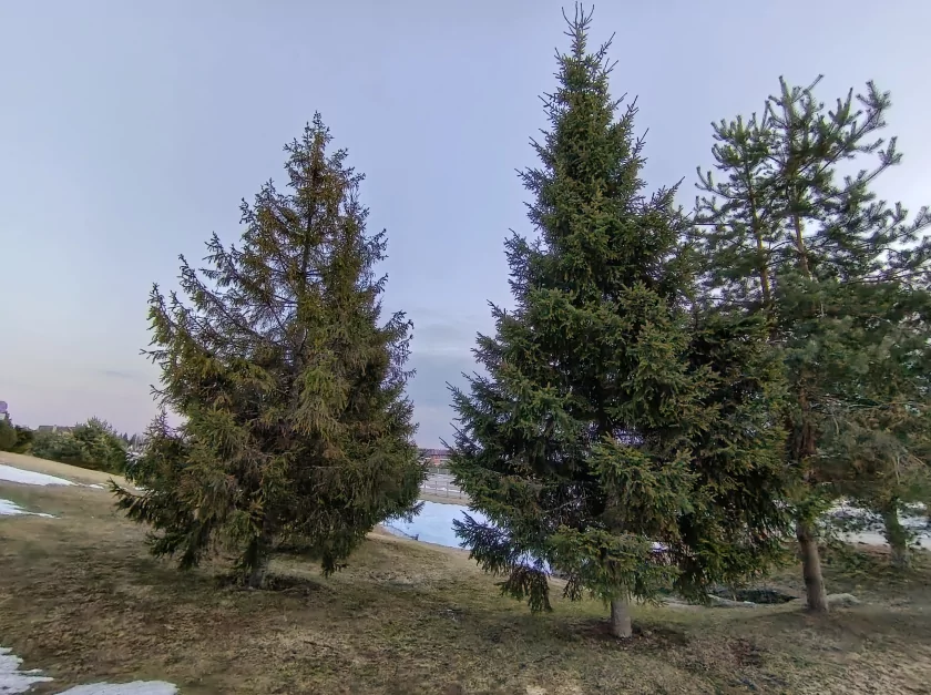 Стильный, тонкий, лёгкий и с металлической рамкой: обзор HONOR 600 Lite