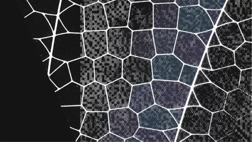 В США усиливают защиту банков после того, как Claude Mythos выявил тысячи уязвимостей в ПО