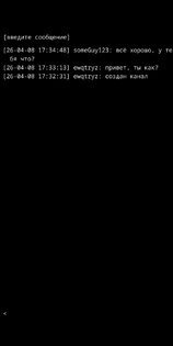 msg4ru. Скриншот 1