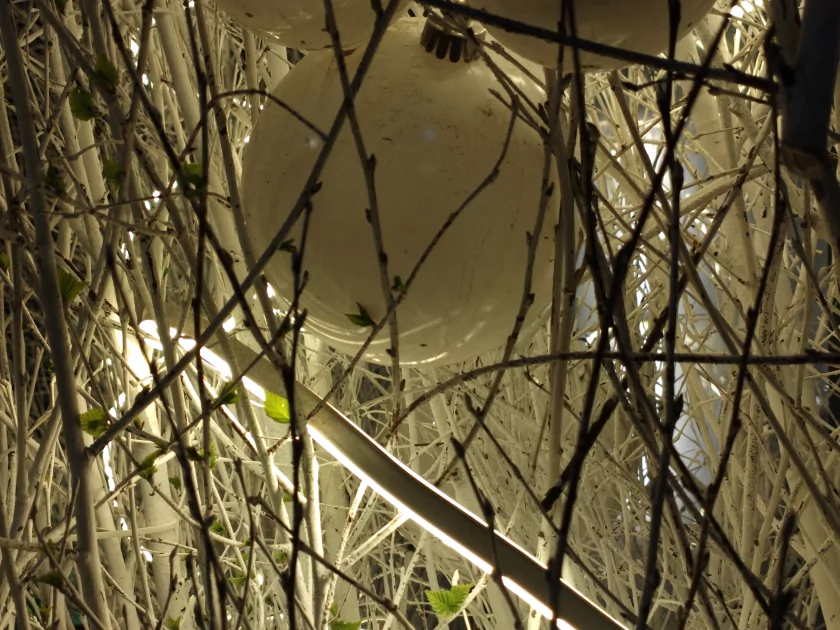 Показывает мемы на крышке, измеряет пульс и работает пауэрбанком: обзор Infinix NOTE 60 Pro — Качество снимков. 20