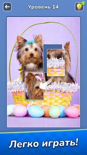 Jigsawcard Solitaire Puzzle 1.4.10. Скриншот 5