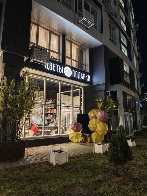 Вымирающий вид. Обзор Xiaomi 17 — компактного смартфона с флагманской начинкой — Камеры. 11