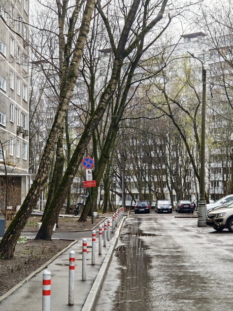 Вымирающий вид. Обзор Xiaomi 17 — компактного смартфона с флагманской начинкой — Камеры. 18