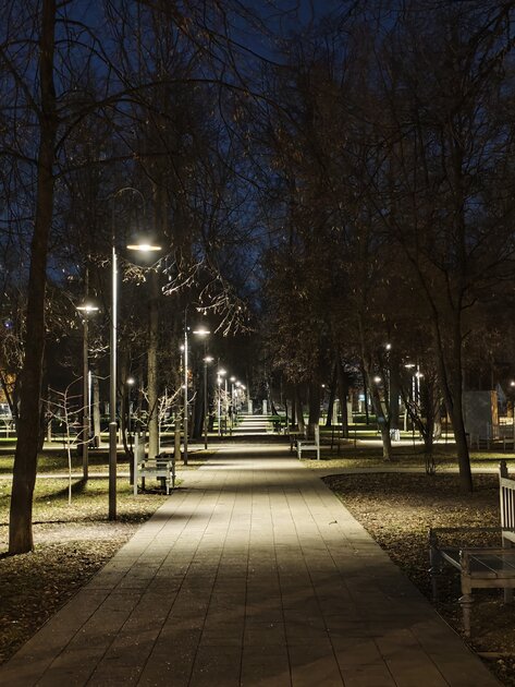 Вымирающий вид. Обзор Xiaomi 17 — компактного смартфона с флагманской начинкой — Камеры. 29