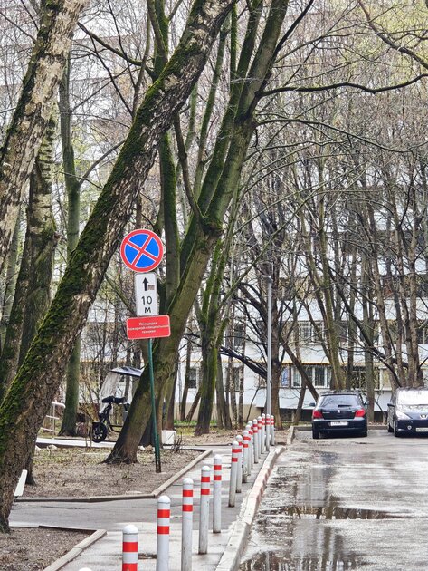 Вымирающий вид. Обзор Xiaomi 17 — компактного смартфона с флагманской начинкой — Камеры. 32