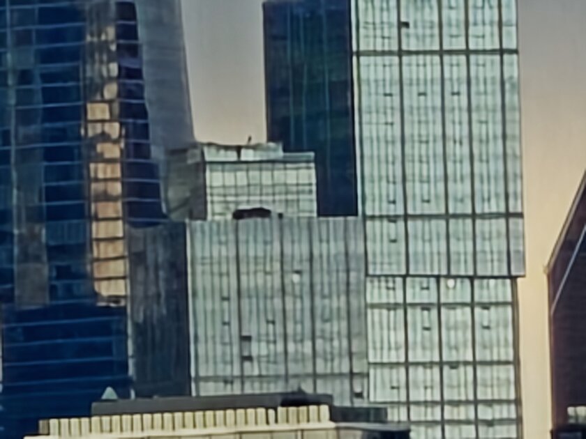 Вымирающий вид. Обзор Xiaomi 17 — компактного смартфона с флагманской начинкой — Камеры. 38