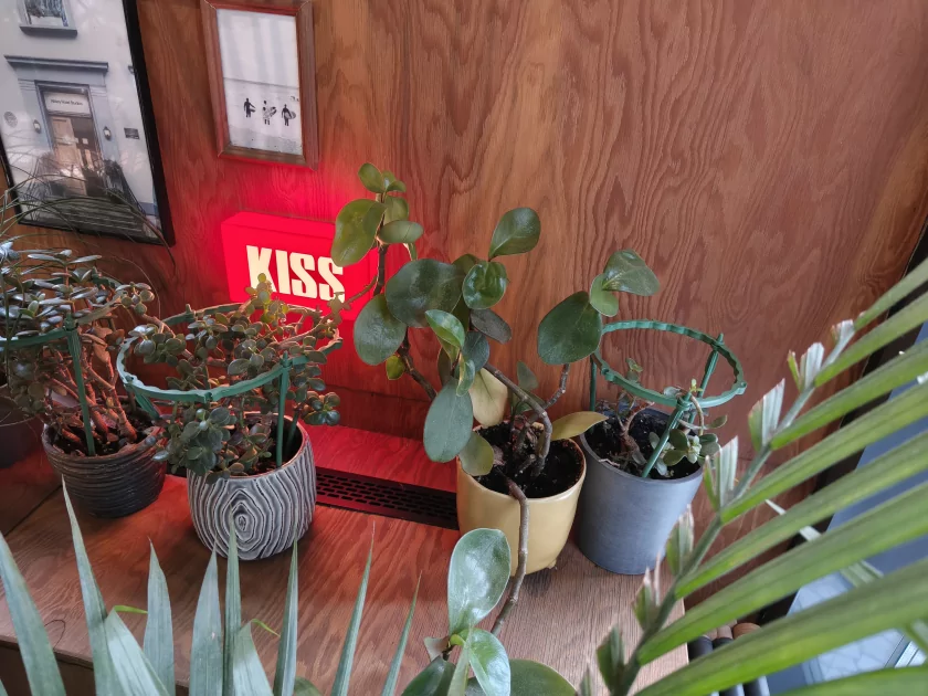 Пора вводить категорию «убийцы субфлагманов»? Обзор TECNO CAMON 50 Ultra 5G — Камеры. 3