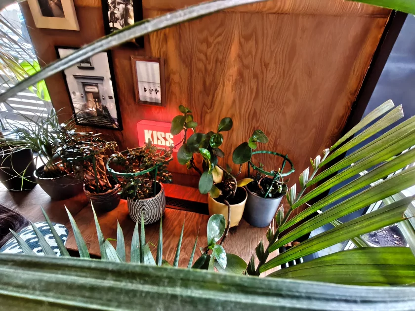 Пора вводить категорию «убийцы субфлагманов»? Обзор TECNO CAMON 50 Ultra 5G — Камеры. 22