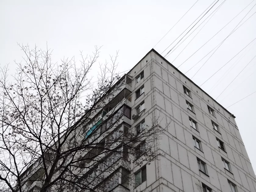 Хорошими камерами уже не удивить, но у vivo V70 получилось. Честный обзор смартфона — Качество снимков. 14