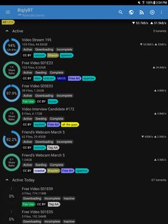BiglyBT 1.3.4.3. Скриншот 4