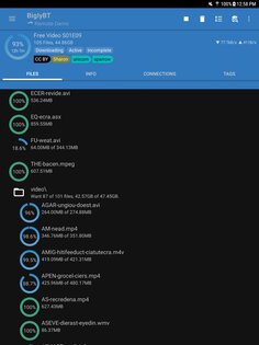 BiglyBT 1.3.4.3. Скриншот 5