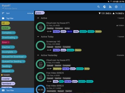 BiglyBT 1.3.4.3. Скриншот 8