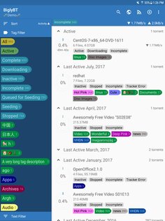 BiglyBT 1.3.4.3. Скриншот 10