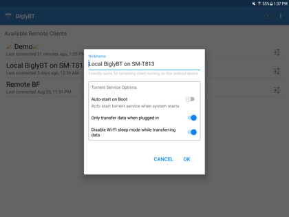 BiglyBT 1.3.4.3. Скриншот 13