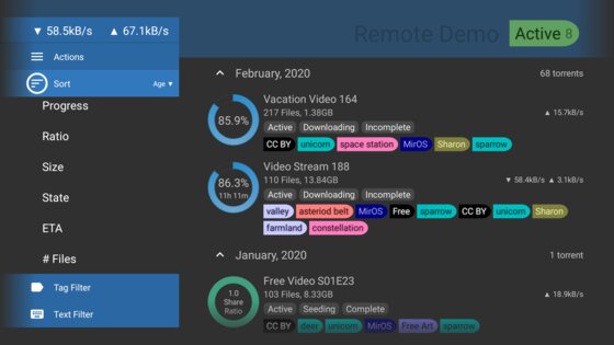 BiglyBT 1.3.4.3. Скриншот 17