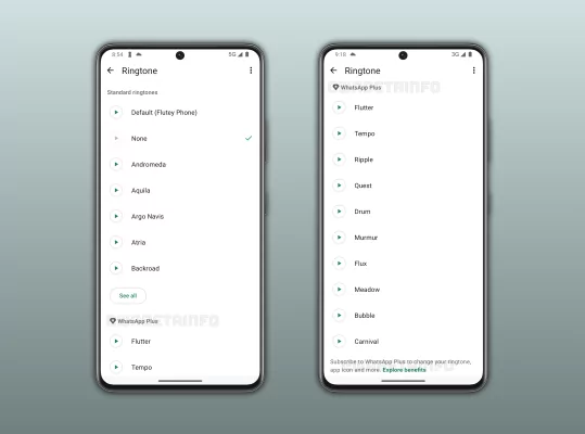 По примеру Telegram: WhatsApp* тестирует платную подписку с эксклюзивными стикерами и прочими бонусами
