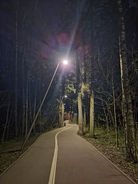 Смартфон, который вы купите на 6 лет: обзор Samsung Galaxy A37 — без экспериментов, только улучшения — Камеры. 11