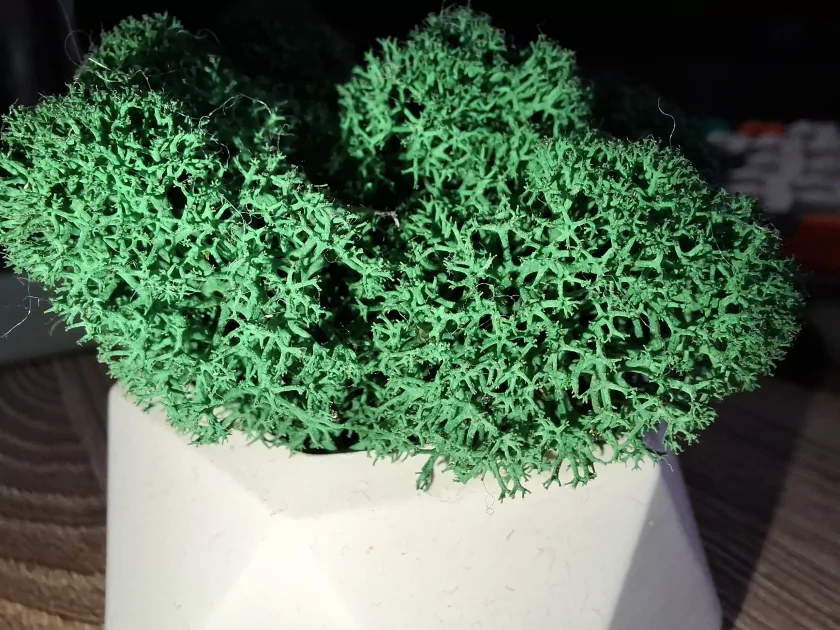 Смартфон, который вы купите на 6 лет: обзор Samsung Galaxy A37 — без экспериментов, только улучшения