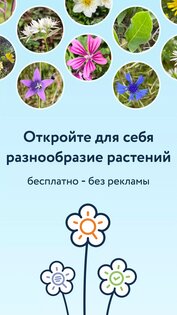 Flora Incognita 3.14.0. Скриншот 8