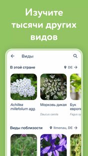 Flora Incognita 3.14.0. Скриншот 6