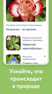 Flora Incognita 3.14.0. Скриншот 5