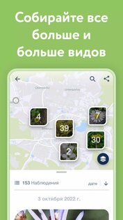 Flora Incognita 3.14.0. Скриншот 4