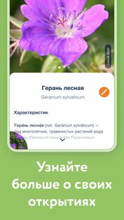 Flora Incognita 3.14.0. Скриншот 3