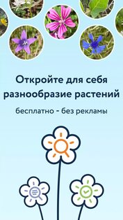 Flora Incognita 3.14.0. Скриншот 1