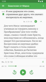 Евангелие с толкованием 1.4.4. Скриншот 2