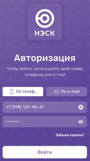 НЭСК 3.0.32. Скриншот 7