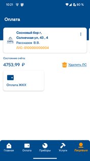 ЕИРЦ ЛО 3.131.6. Скриншот 2