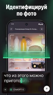 ChatGO 1.9.1. Скриншот 4