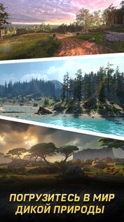 Hunting Rivals 1.0.0. Скриншот 5